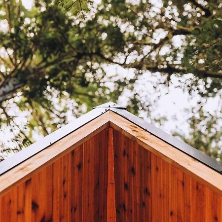 The Treeframe Cabin Villa Index Exterior foto